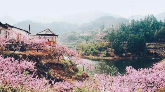 中國的桃花源和西方的烏托邦，是全人類的精神遺產(chǎn)